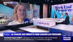 "Mégothon": des associations organisent une collecte de mégots dans 10 ville de France, avec comme objectif un record du monde