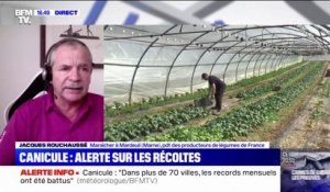 Jacques Rouchaussé: "Les plantes se sentent agressées par cette chaleur"
