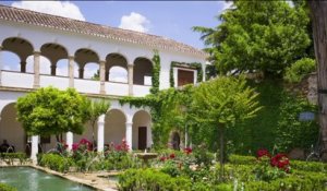 Jardin - Les plantes de l'Alhambra