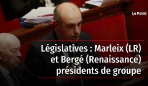Législatives : Marleix (LR) et Bergé (Renaissance) présidents de groupe