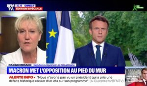 Nadine Morano: "On a l'impression qu'Emmanuel Macron découvre le fonctionnement de l'Assemblée nationale"