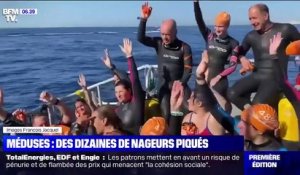 À Marseille, des dizaines de nageurs du Défi Monte-Cristo piqués par des méduses