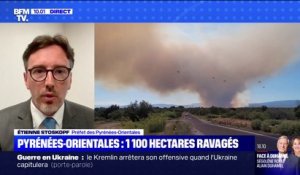 Incendie dans les Pyrénées-Orientales: 1100 hectares ravagés mais "le pire a été évité" selon le préfet