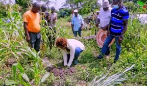 Togo- Sunfarming, un projet agricole attendu à Agbélouvé