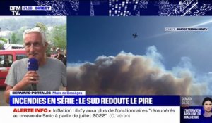Incendie dans le Gard: "560 hectares environ" ont été brûlés, selon le maire de Bessèges