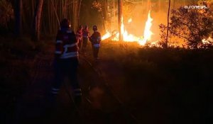 Sous la canicule, le Portugal peine à maîtriser plusieurs feux de forêt