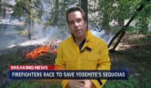 Un feu de forêt hors de contrôle dans le parc de Yosemite, en Californie menace désormais ses séquoias géants, a annoncé le parc naturel