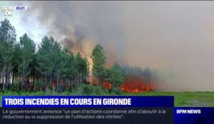 Incendie à La Teste-de-Buch: "Le feu progresse toujours" et a parcouru "35 hectares", selon le sous-préfet d'arrondissement d'Arcachon