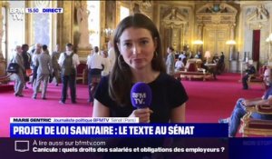 Projet de loi sanitaire: après un revers à l'Assemblée nationale, le gouvernement mise sur le Sénat