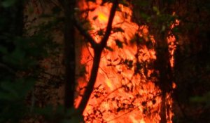 «Il y a beaucoup de points sensibles à défendre »: les pompiers face au feu qui ravage la Gironde