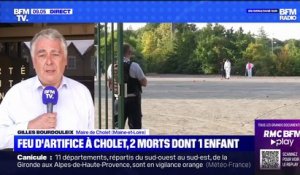 Gilles Bourdouleix, maire de Cholet:  "C'est un accident épouvantable"