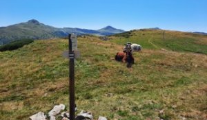 Puy_de_Niermont et_Col_de_Serre_dans_le_Cantal