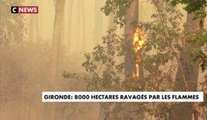 Gironde : 8000 hectares ravagés par les flammes