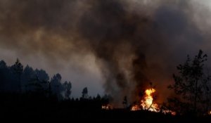 Incendies en Gironde : plus de 19 000 hectares partis en fumée et 34 000 personnes évacuées