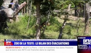 Incendies en Gironde: huit animaux sont décédés lors de l'évacuation du zoo de La Teste-de-Buch