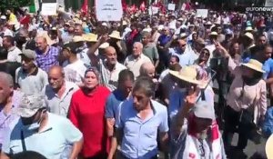 Tunisie : mobilisation contre la Constitution voulue par le président Saïed