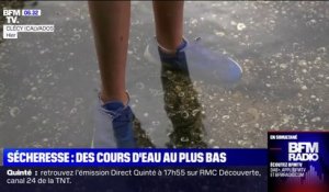 Sécheresse: les cours d'eau au plus bas, 90 des 96 départements français en alerte