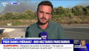 Incendies dans l'Hérault: le nombre d'hectares partis en fumée ne cesse d'augmenter