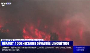 Incendie dans l'Hérault: 1000 hectares déjà brûlés, une enquête est ouverte