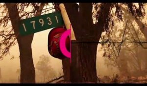 Californie : l'incendie McKinney a détruit plus de 25 000 hectares de forêt ce dimanche