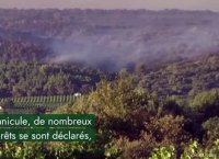 Des images satellites révèlent la sécheresse de la France