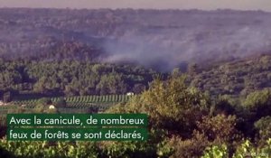 Des images satellites révèlent la sécheresse de la France