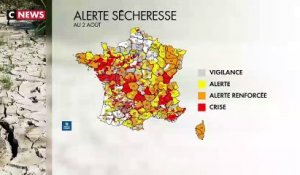 Canicule -  La 3e vague de chaleur estivale qui traverse la France n'est pas sans conséquence: Le pays est désormais entièrement frappé par la sécheresse - VIDEO
