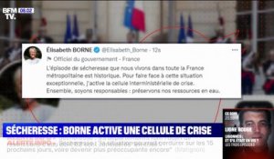 Sécheresse: Élisabeth Borne active une cellule de crise face à une "situation historique"