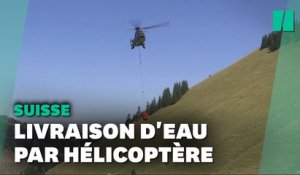 Face à la sécheresse en Suisse, l’eau livrée par hélicoptères à des éleveurs