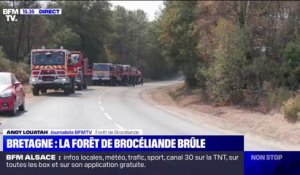 Incendie dans la forêt de Brocéliande: 340 hectares brûlés, selon le dernier bilan de la préfecture