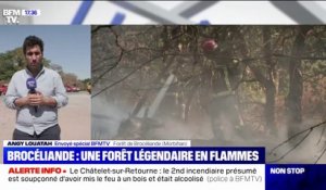 Incendie dans la forêt de Brocéliande: le feu est contenu