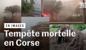 Corse : plusieurs morts après des orages et des vents atteignant jusqu'à 224 km/h