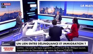 Révélations de chiffres choc  : Un acte de délinquance sur 2 est commis par des étrangers à Marseille et à Paris selon les données du Ministère de l'Intérieur