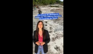 États-Unis: la sécheresse laisse apparaître des traces de dinosaures dans le lit d’une rivière