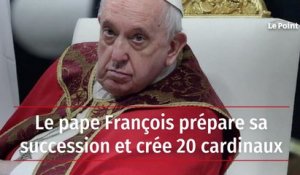 Le pape François prépare sa succession et crée 20 cardinaux