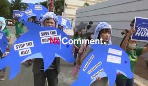 Des défenseurs de dauphins se mobilisent devant l'ambassade du Japon aux Philippines