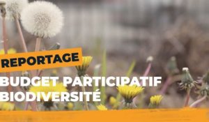 Budget Participatif - Boomforest : la biodiversité Porte de Montreuil | Paris Citoyen | Ville de Paris