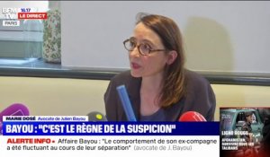 L'avocate de Julien Bayou assure qu'il n'a "jamais exercé la moindre violence psychologique"