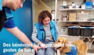 Le centre de formation handi'chiens de Kunheim