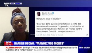 "Mangez vos morts": Danièle Obono (@Deputee_Obono) assume "un tweet de boutade"