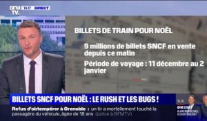 Vacances de Noël: la SNCF a vendu "l’équivalent de 3 TGV toutes les minutes" entre 6 heures et 8 heures ce mercredi