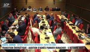 Audition à l'Assemblée nationale - Transition énergétique : la feuille de route de la ministre
