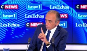 Immigration : pour Eric Zemmour, «Édouard Philippe est un immigrationniste»