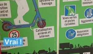 Le vrai ou faux de l'usage de la trottinette électrique