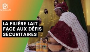 Burkina Faso : La filière lait face aux défis sécuritaires