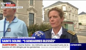 Sainte-Soline: les forces de l'ordre ont essuyé des "tirs de mortiers, des cocktails Molotov, des jets de projectiles divers", selon la préfecture