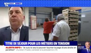 Pour Laurent Munerot, président de la CNAMS, la régularisation des travailleurs sans-papiers "ne sera pas la réponse globale aux difficultés de recrutement des métiers en tension"