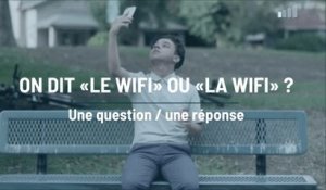Internet: on dit «le wi-fi» ou «la wi-fi»?