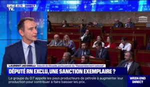 Grégoire de Fournas exclu 15 jours de l'Assemblée nationale: "Le résultat est juste improbable", juge le député RN Laurent Jacobelli
