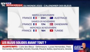 Coupe du monde au Qatar: Le programme qui attend l'équipe de France